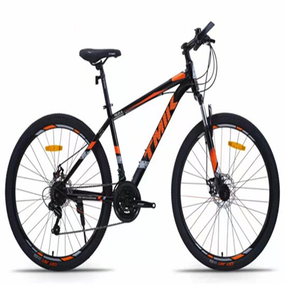 FINI Mountain Bike