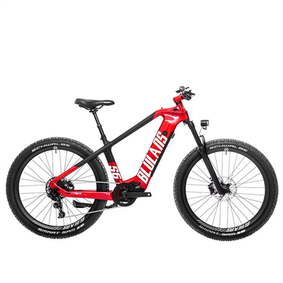 BLULANS E - MTB DOMI