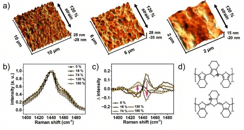 Researchers improve stretchable conductive polymers for wearable biosensors